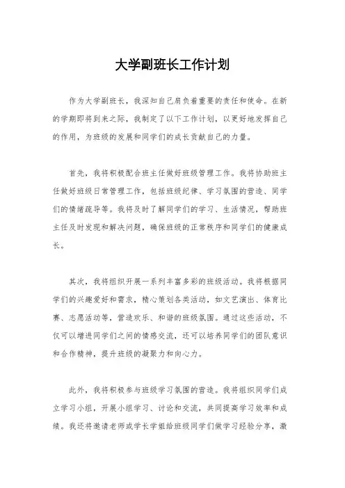 大学副班长工作计划