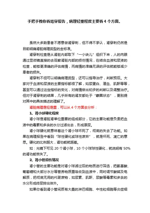 手把手教你看肾穿报告，病理轻重程度主要看4个方面。