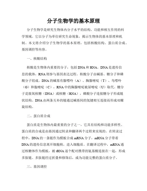 分子生物学的基本原理