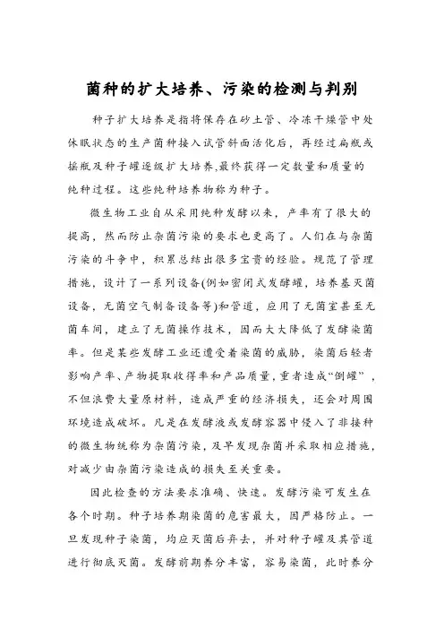 菌种的扩大培养