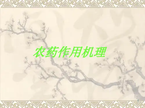 农药作用机理ppt课件