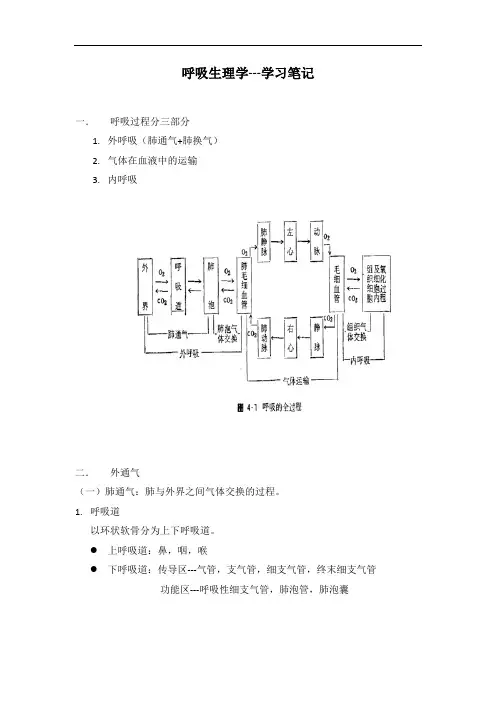 最新精华整理：呼吸生理学-学习笔记