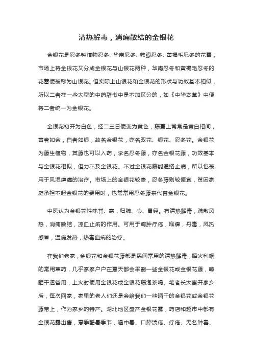 清热解毒,消痈散结的金银花