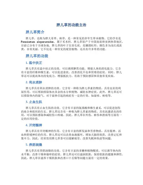 胖儿草的功能主治