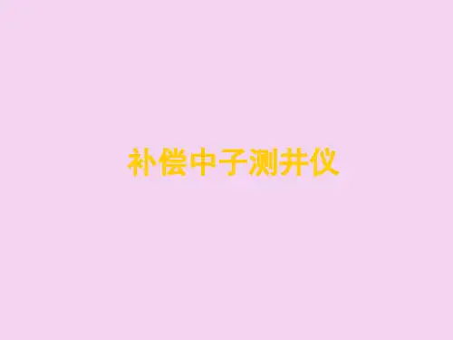 补偿中子测井仪器讲课ppt课件