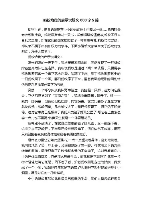 蚂蚁给我的启示说明文600字5篇