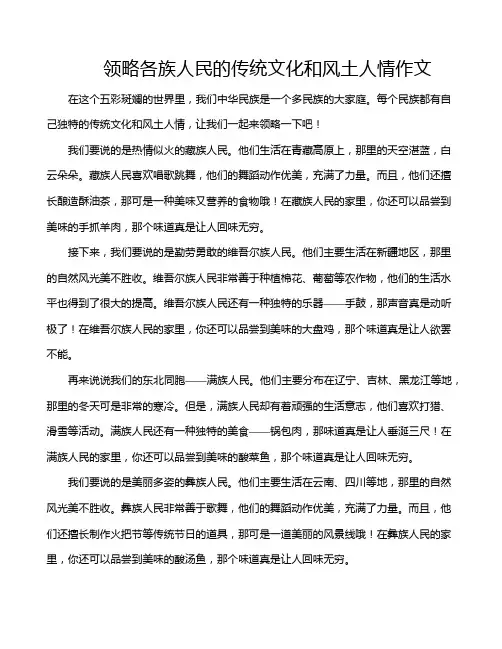 领略各族人民的传统文化和风土人情作文