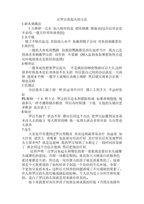 【免费下载】让罗汉鱼起头的方法