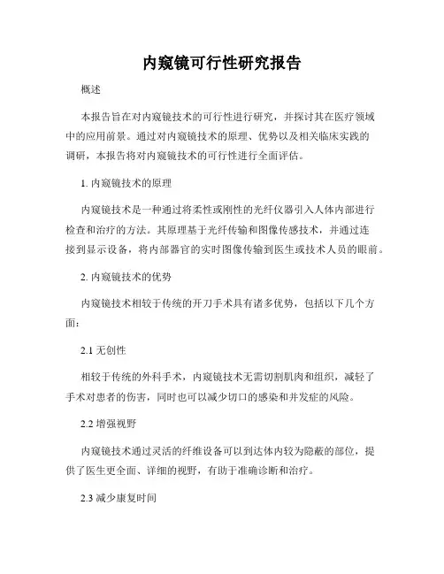 内窥镜可行性研究报告