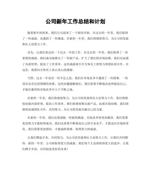 公司新年工作总结和计划