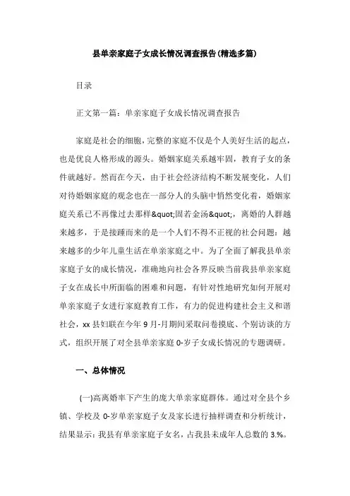 县单亲家庭子女成长情况调查报告