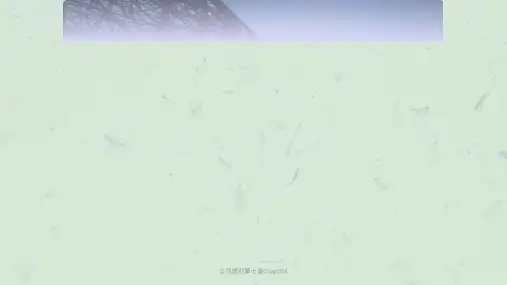 公司理财第七版Chap004课件