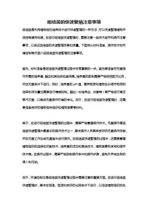 组培苗的快速繁殖注意事项