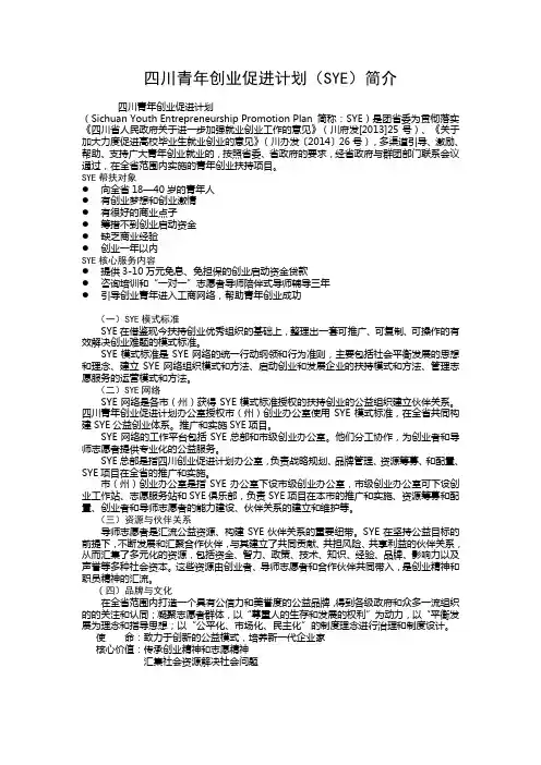 四川青年创业促进计划(SYE)简介