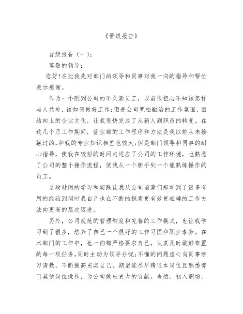 【范文】晋级报告10篇