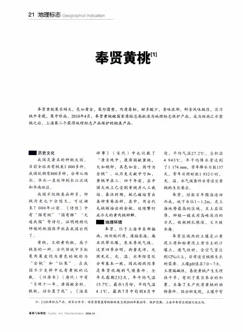 奉贤黄桃