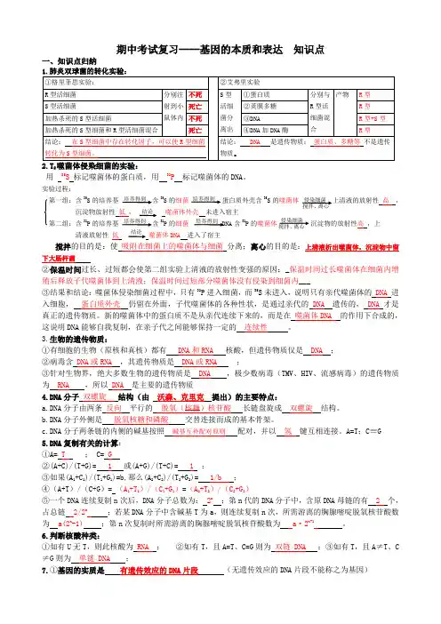 基因的本质和表达  知识点答案