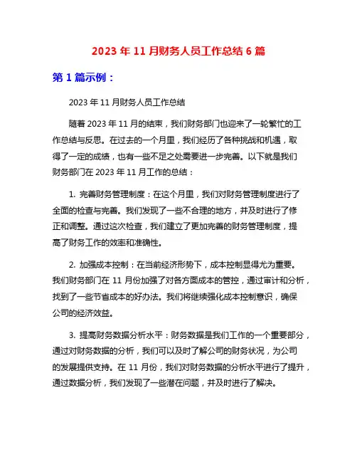 2023年11月财务人员工作总结6篇