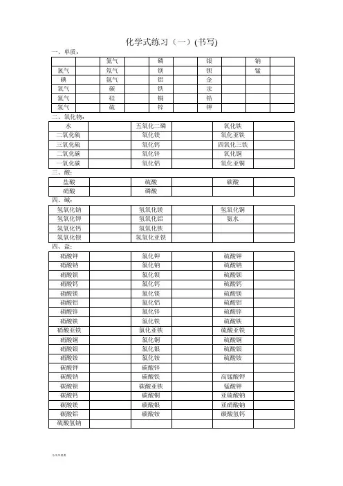 化学式练习(一)(书写).doc
