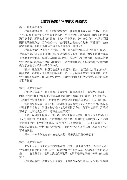 含羞草的秘密300字作文_周记作文
