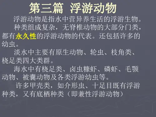 1章 原生动物门07