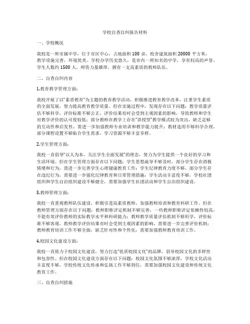 学校自查自纠报告材料