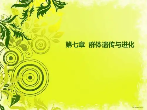 第7章  群体遗传与进化