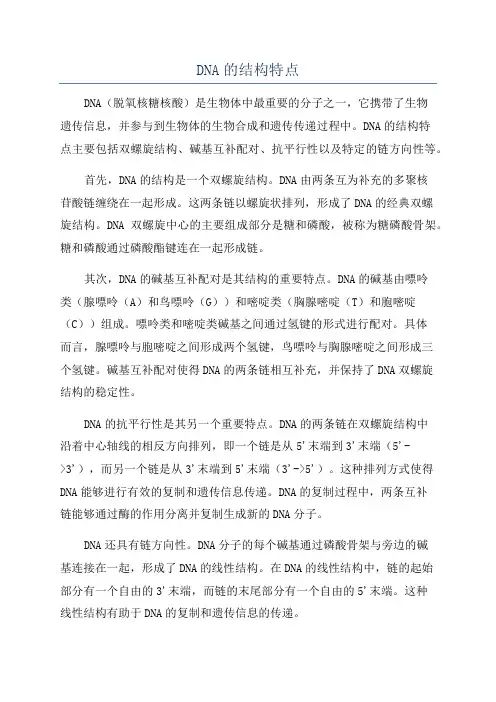DNA的结构特点
