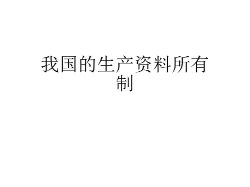 高中政治人教版必修一经济生活4.2我国的生产资料所有制课件(共23张PPT)