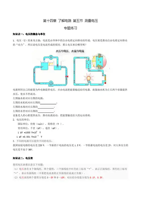 人教版九年级全一册第十四章 了解电路 第五节 测量电压讲解