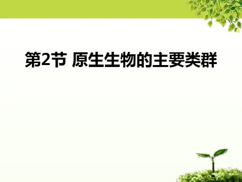 《原生生物的主要类群》PPT课件