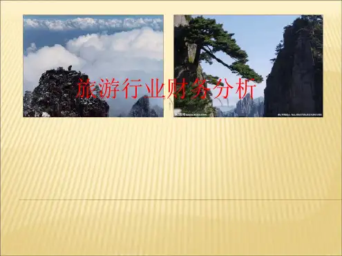 旅游行业财务分析报告