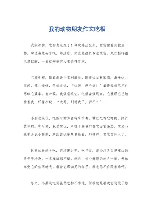 我的动物朋友作文吃相