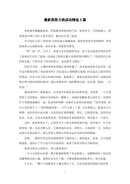 最新我努力我成功精选3篇