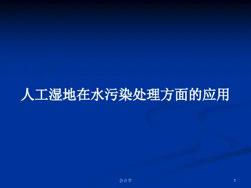 人工湿地在水污染处理方面的应用PPT学习教案