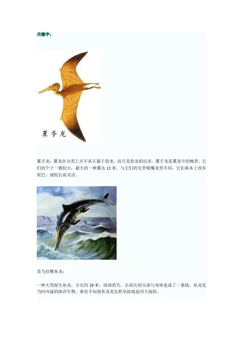 恐龙及种类--地球中第一科星星里面