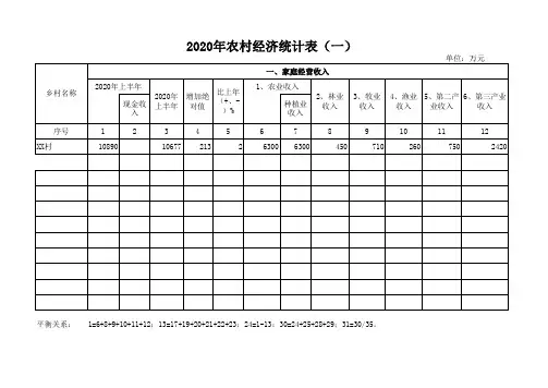 2020年农村经济统计表模板