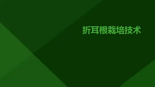 折耳根栽培技术