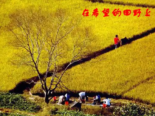 第1课发达的古代农业(复习)