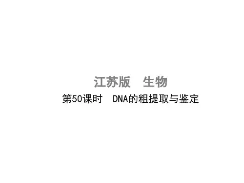 高考生物一轮复习 第十五单元 生物技术实践(第50课时)DNA的粗提取与鉴定课件