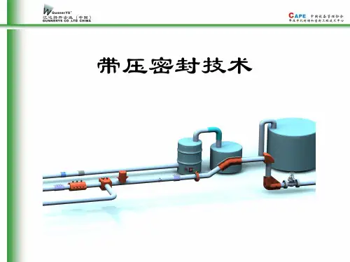 带压密封(带压堵漏)技术介绍