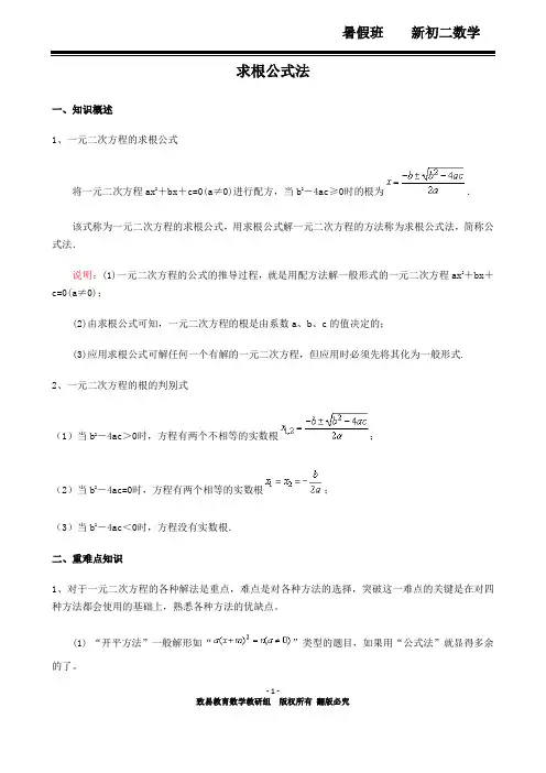 12求根公式法