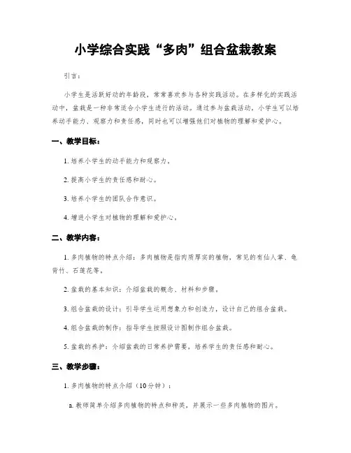 小学综合实践“多肉”组合盆栽教案