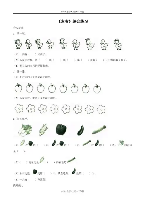 北师大版-数学-一年级上册-【精品】《左右》基础练习