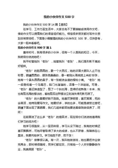 我的小伙伴作文500字14篇【通用】