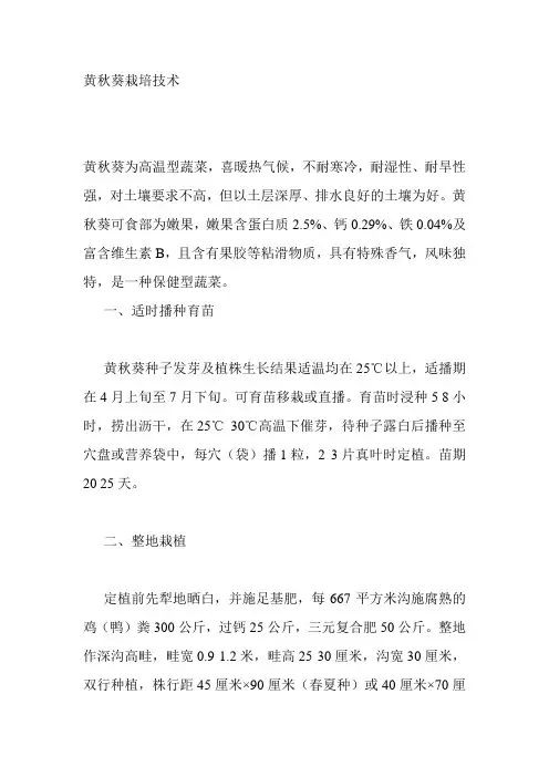 黄秋葵种植技术