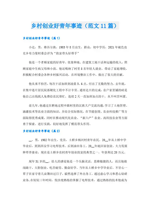 乡村创业好青年事迹(范文11篇).doc
