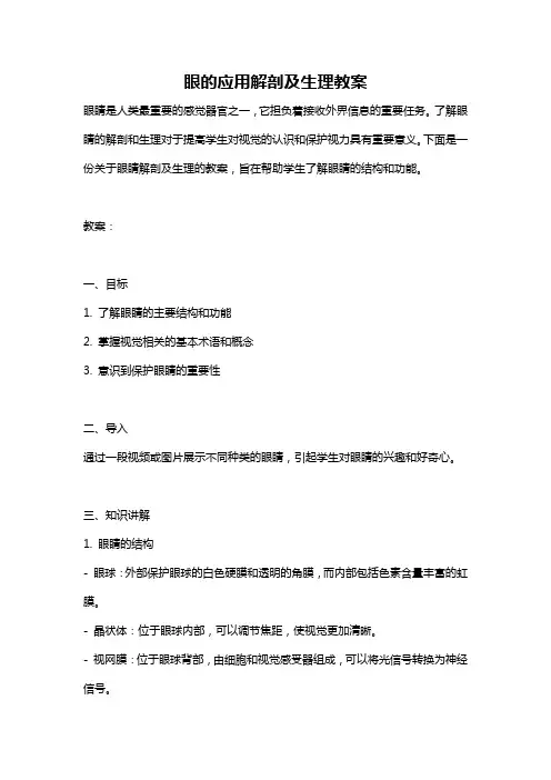 眼的应用解剖及生理教案