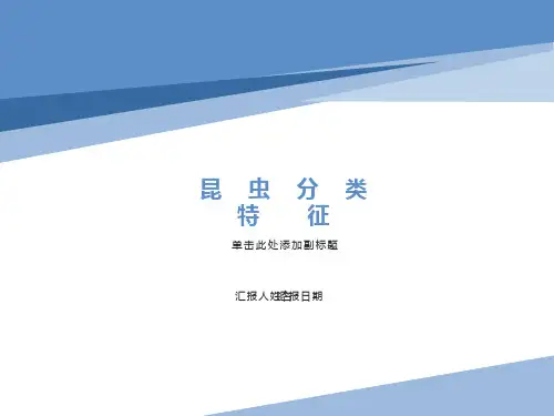 昆虫分类特征