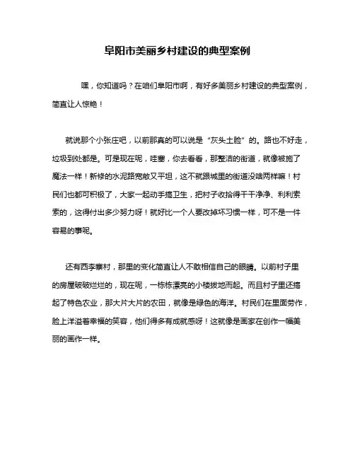 阜阳市美丽乡村建设的典型案例
